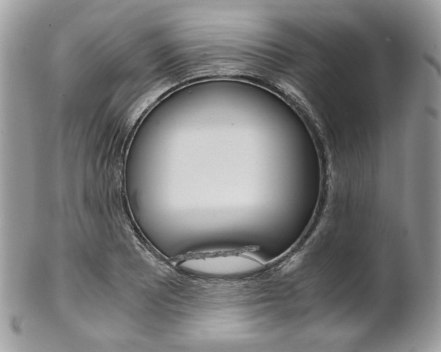 X0000101411081200807071001