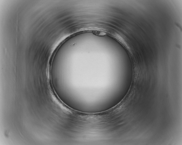 X0000101411084200807071000