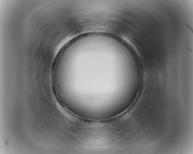 X0000101411085200807071000