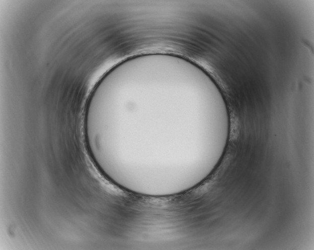 X0000101411086200807071000