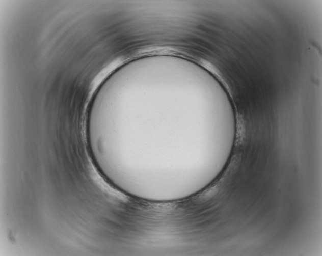 X0000101411090200807071000