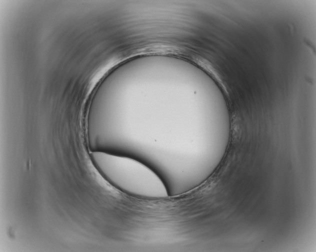 X0000101411091200807071000