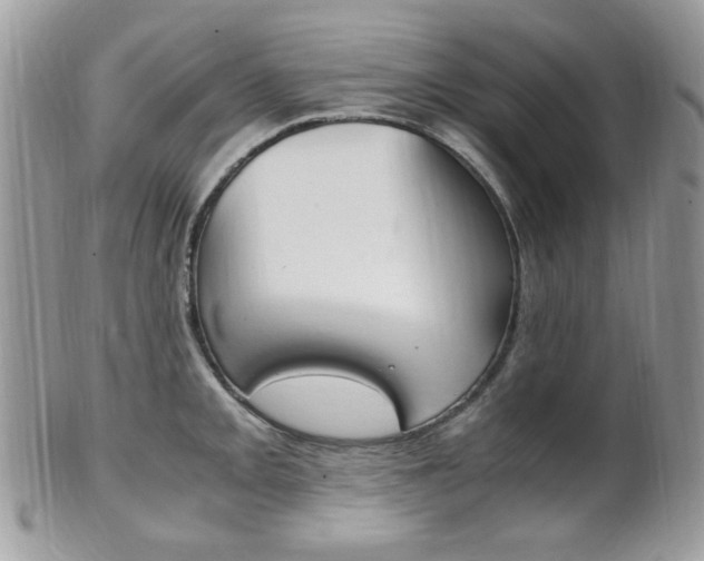 X0000101411093200807071000
