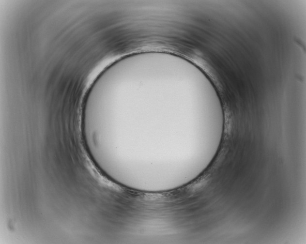 X0000101411094200807071000