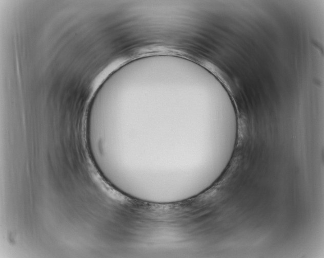 X0000101411098200807071000
