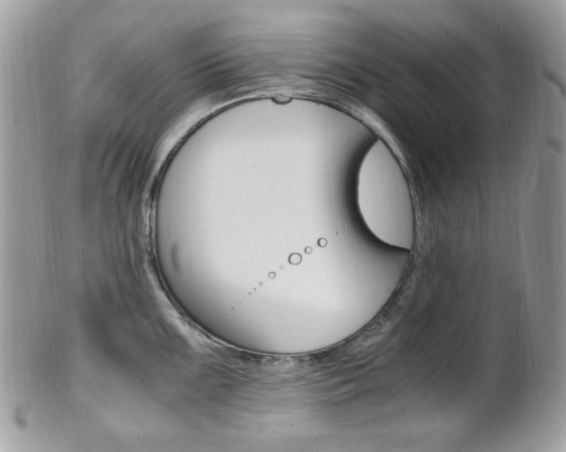 X0000101411099200807071000