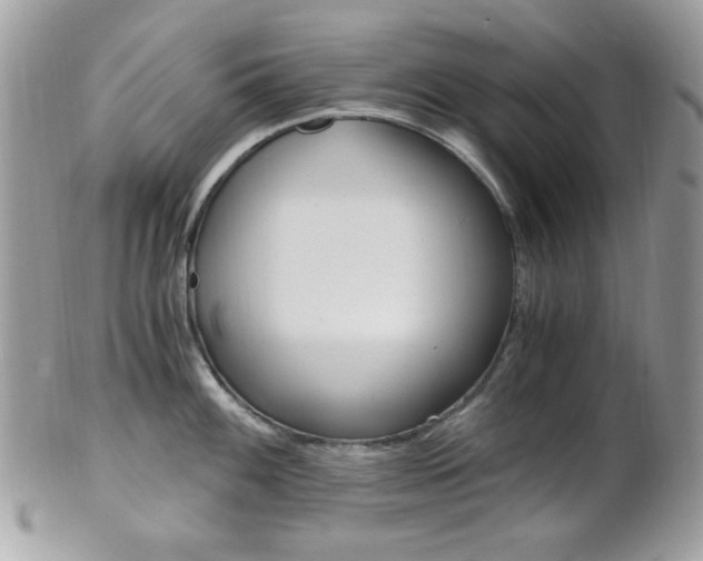 X0000101411100200807071000