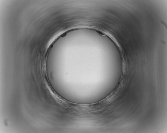X0000101411101200807071000