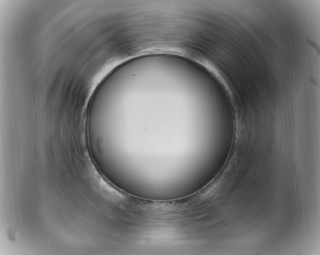 X0000101411102200807071000