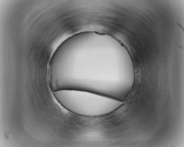 X0000101411103200807071000