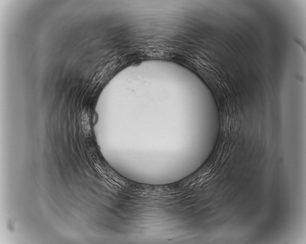 X0000101411106200807070959
