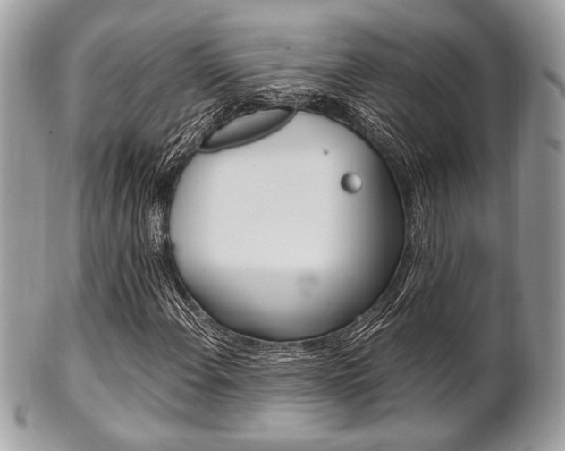 X0000101411108200807070959