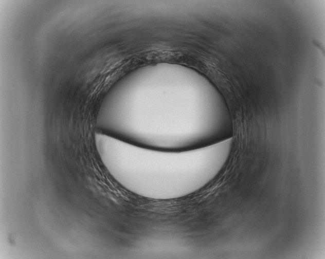 X0000101411109200807070959