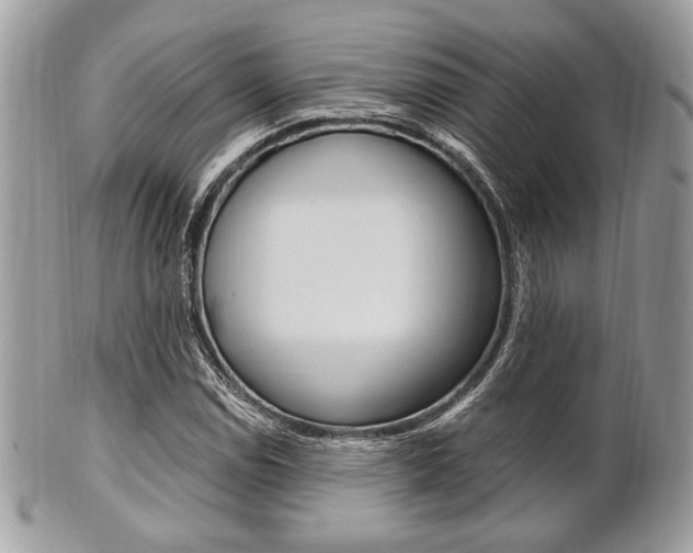 X0000101411114200807070959