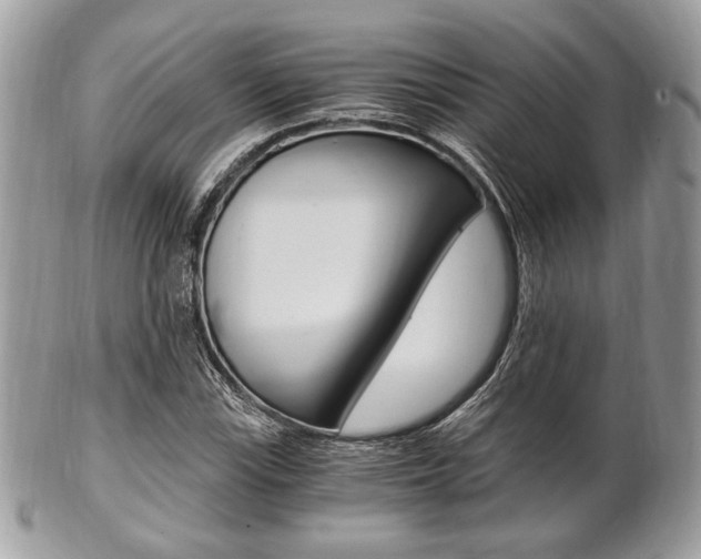 X0000101411115200807071000