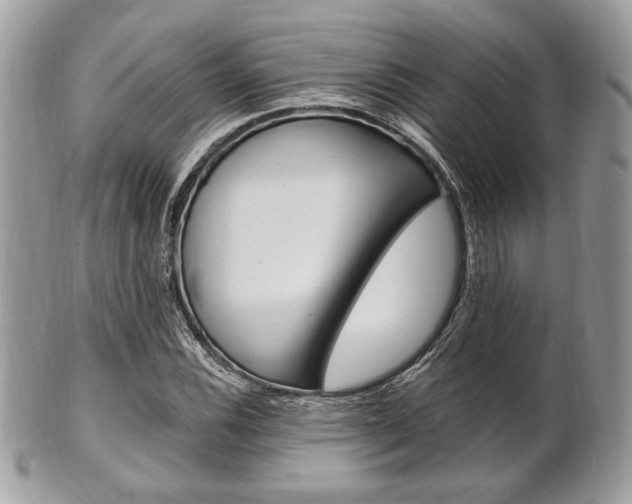 X0000101411116200807071000