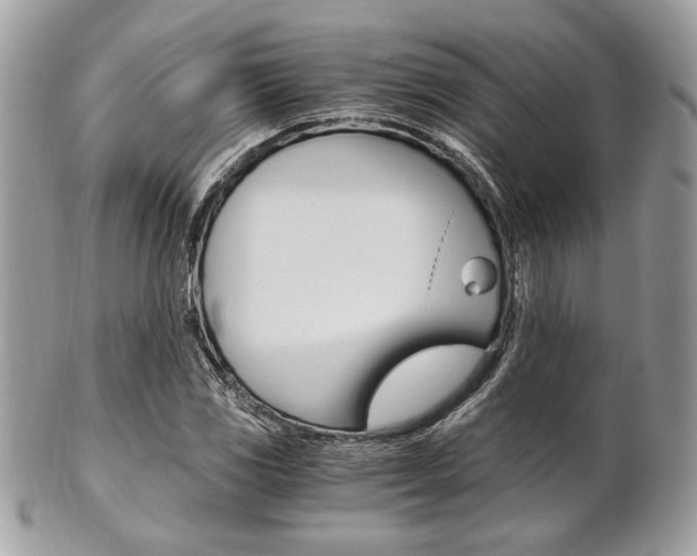 X0000101411117200807071000