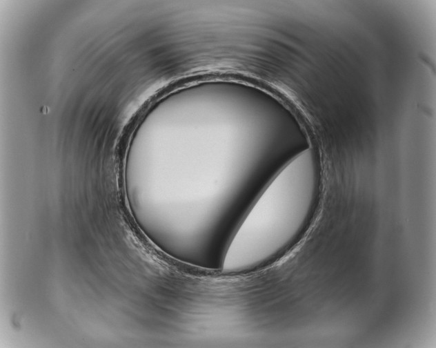 X0000101411118200807071000