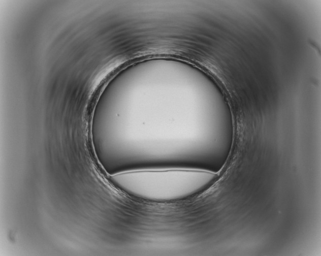 X0000101411119200807071000