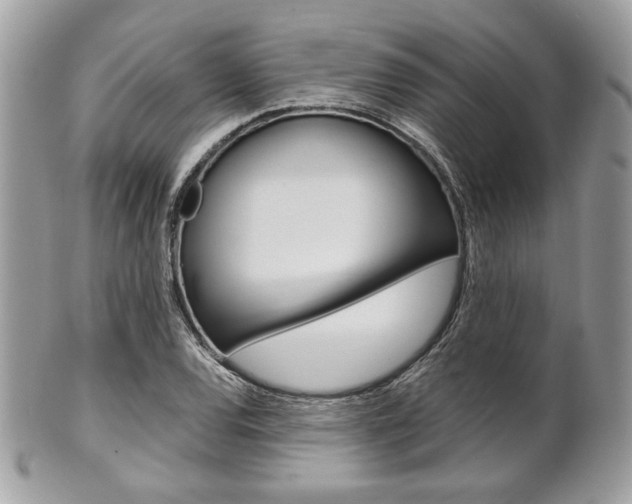 X0000101411120200807071000
