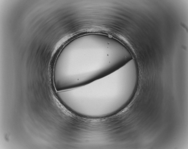 X0000101411122200807071000
