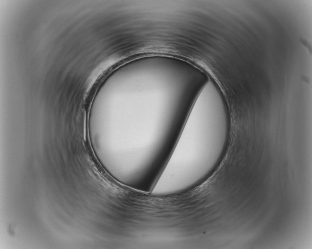 X0000101411123200807071000