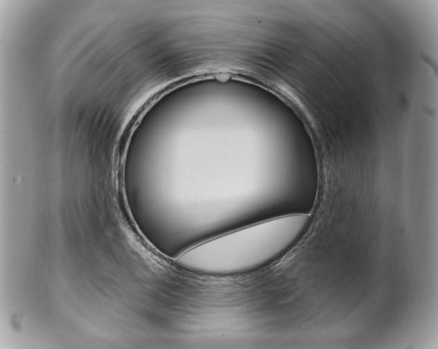 X0000101411124200807071000