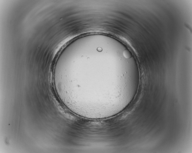 X0000101411125200807071000