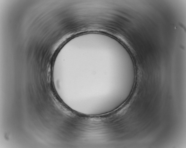 X0000101411126200807071000