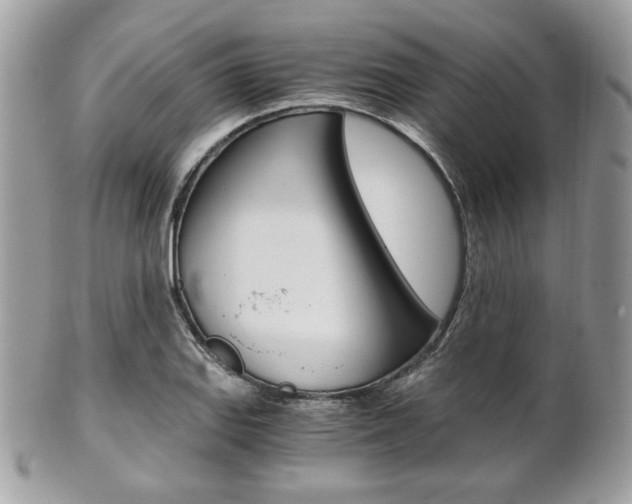 X0000101411127200807071000