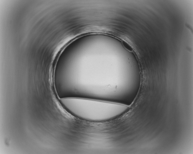 X0000101411128200807071000