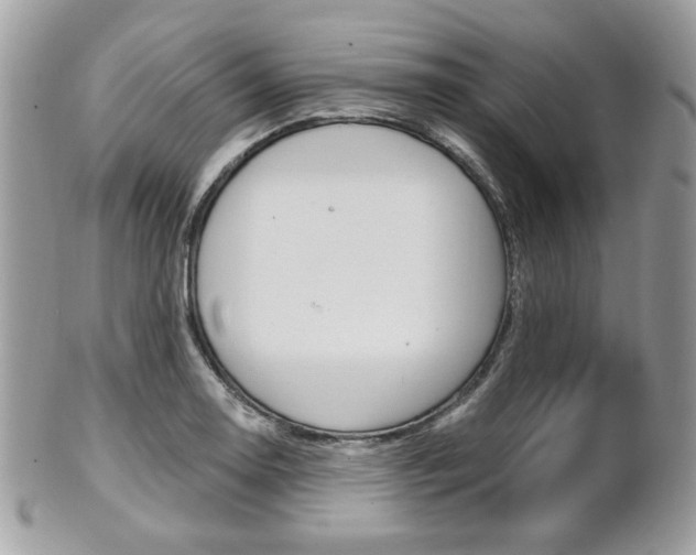 X0000101411130200807071000