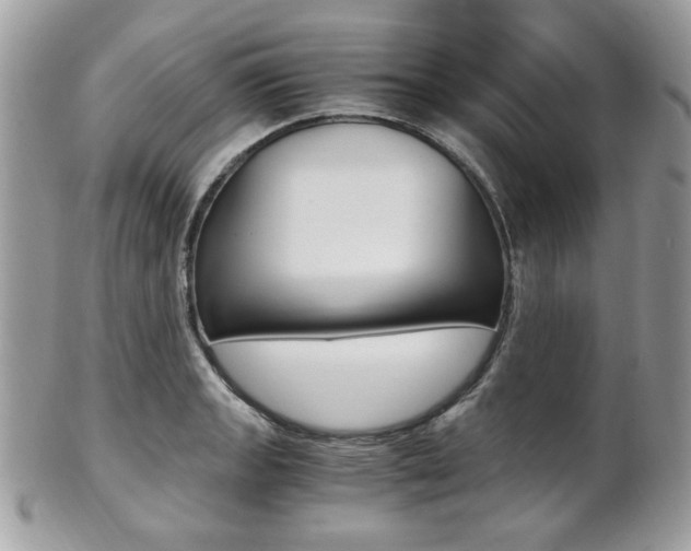 X0000101411133200807071000