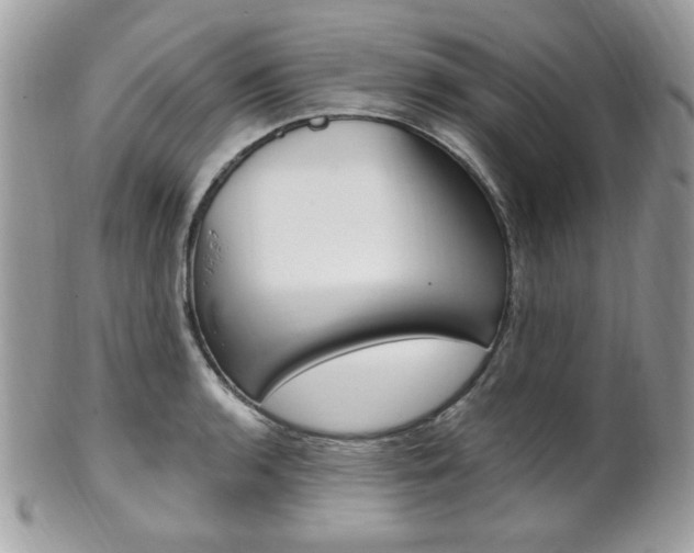X0000101411136200807071000