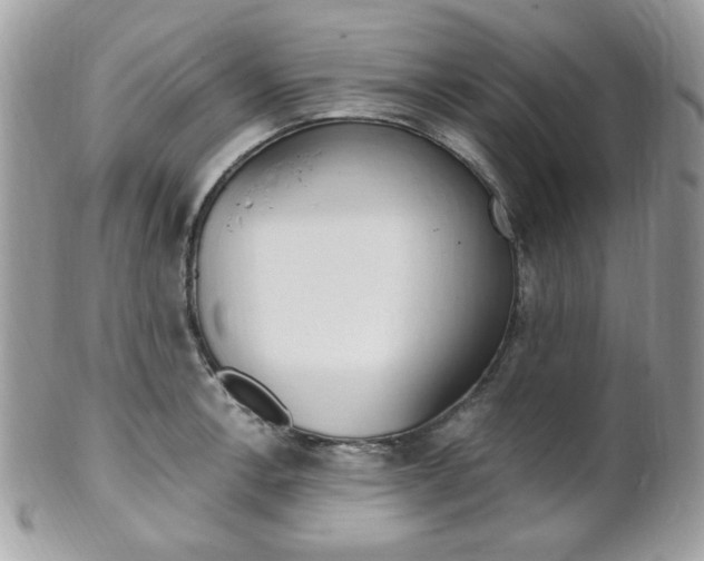 X0000101411138200807071000