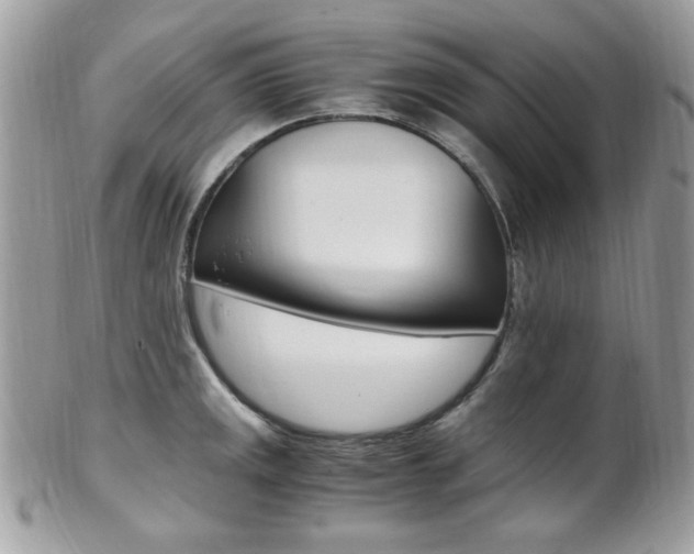 X0000101411141200807071000