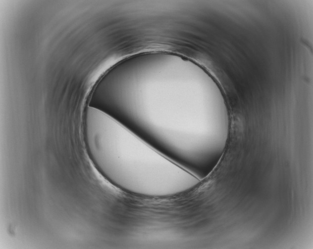 X0000101411143200807071000