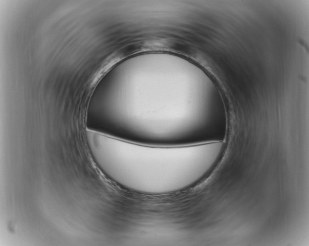 X0000101411145200807071000