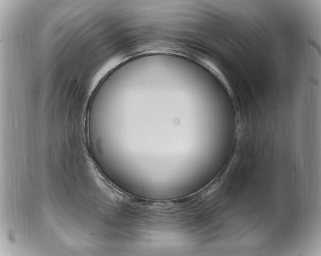 X0000101411146200807071000