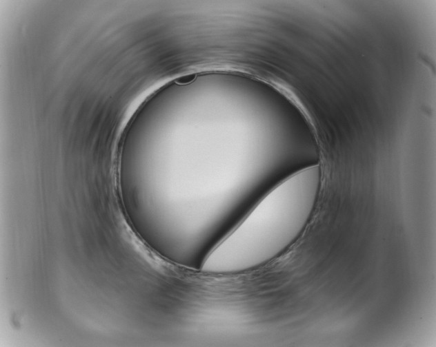 X0000101411148200807071000