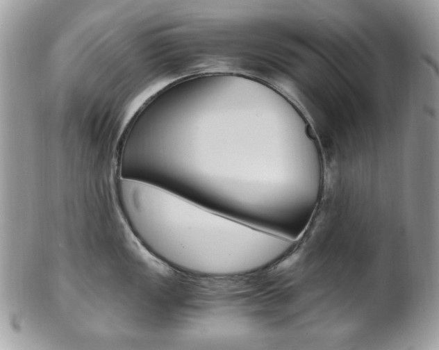 X0000101411149200807071000
