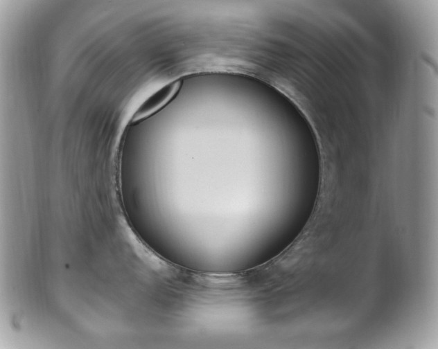 X0000101411152200807071000