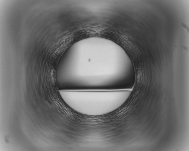 X0000101411156200807070959