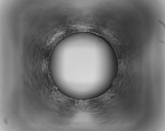 X0000101411157200807070959