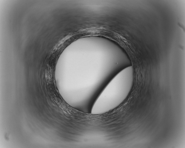 X0000101411158200807070959