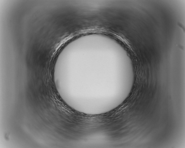 X0000101411160200807070959