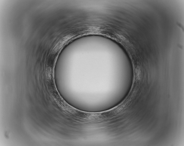 X0000101411161200807070959
