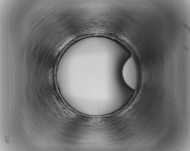 X0000101411162200807070959