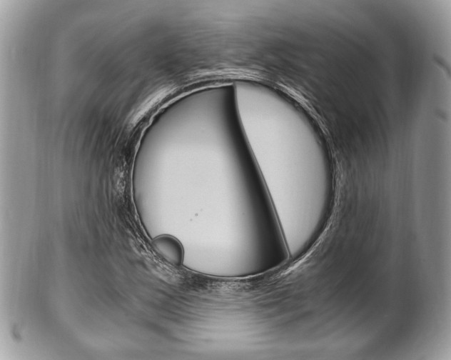 X0000101411163200807070959