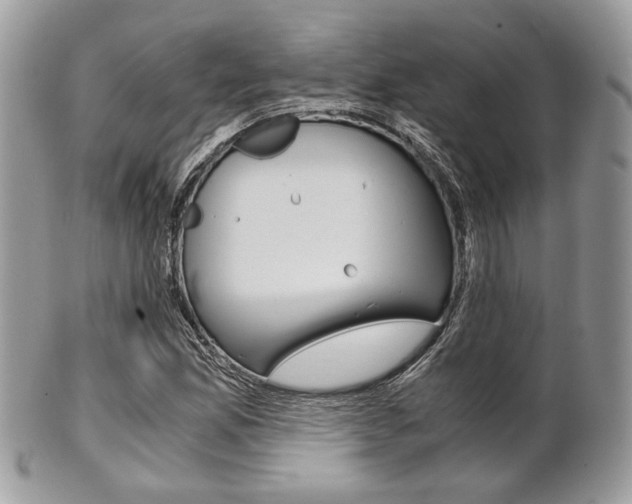 X0000101411165200807070959